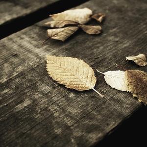 欧美黑人色情ⅩXXⅩ性
